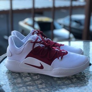 Nike Zoom Hyperdunk X Low Court Burgundy/Maroon
